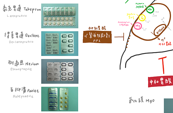 藥師瑄 胃藥 肚子痛 胃食道逆流 胃絞痛 胃潰瘍 對症下藥才有效 臺大醫院最常開的10 種胃藥知多少 超實用趕快存下來 Pharhsuan0408插畫藥師瑄