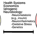 Association between MeS & BD_ mediating & moderating factors