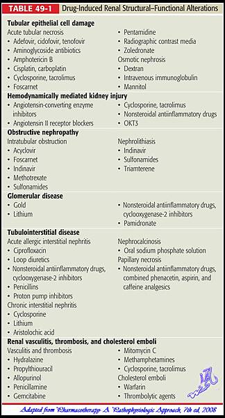 Drug-Induced Renal Structural–Functional Alterations