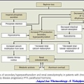 Pathogenesis of SHP & renal osteodystrophy in patients with CKD