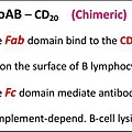 Rituximab-1