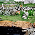 81560025.JPG