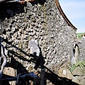 81560028.JPG
