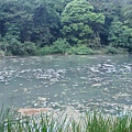 DSC06315.JPG