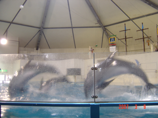 登別水族館