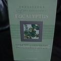 DSC07364.jpg