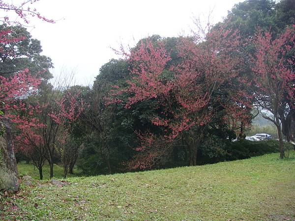 風景