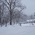 雪景