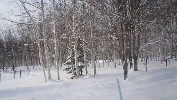 TOMAMU度假村雪景