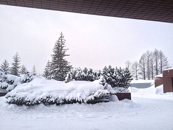 TOMAMU度假村雪景