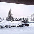 TOMAMU度假村雪景