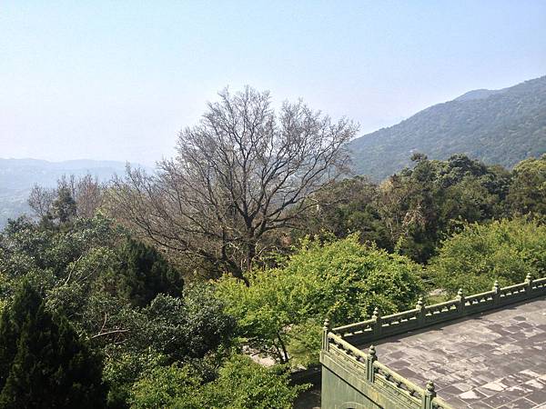 IMG_3577.jpg IMG_3577.jpg