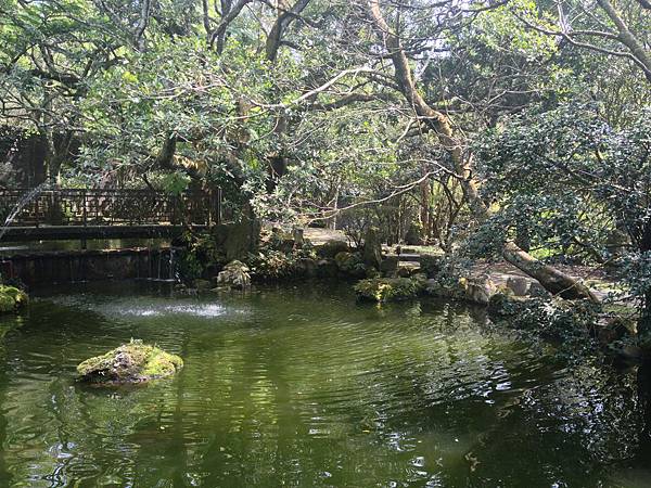 IMG_3594.jpg IMG_3594.jpg