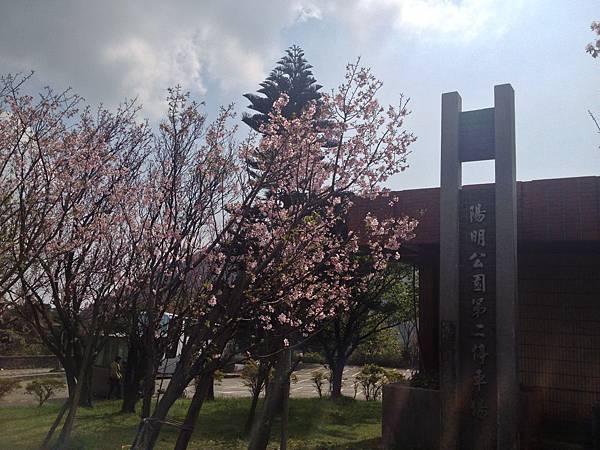 IMG_3676.jpg IMG_3676.jpg