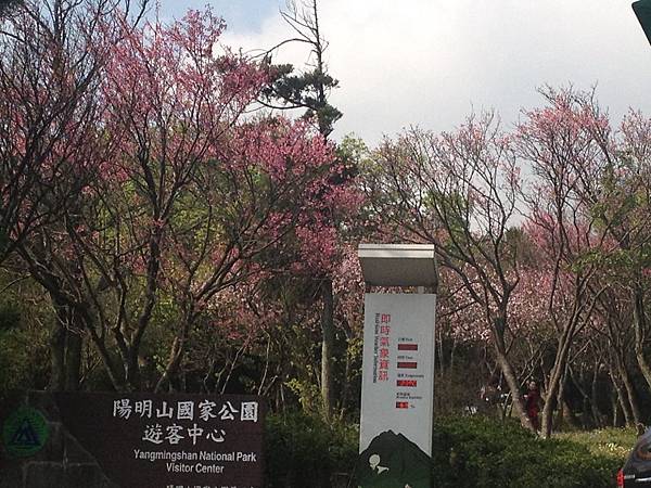 IMG_3683.jpg IMG_3683.jpg