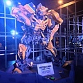 IMG_2165.jpg