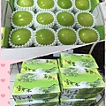 照片 063.jpg