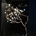 IMG_4646.jpg