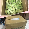 照片 001.jpg