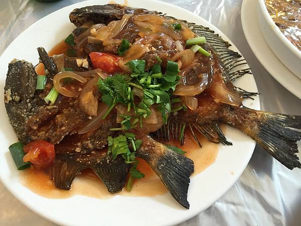 IMG_0361.JPG IMG_0361.JPG