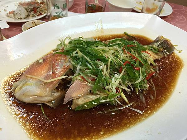 鸚哥魚 鸚哥魚