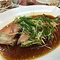 鸚哥魚