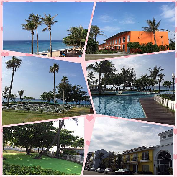 IMG_0487.JPG IMG_0487.JPG