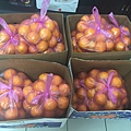照片 003.jpg
