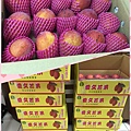照片 004.jpg