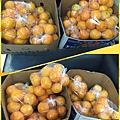 照片 001.jpg