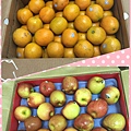 照片 001.jpg