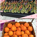 照片 001.jpg