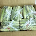 照片.jpg