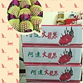 照片 001.jpg