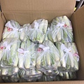 照片 009.jpg
