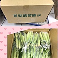 照片 001.jpg