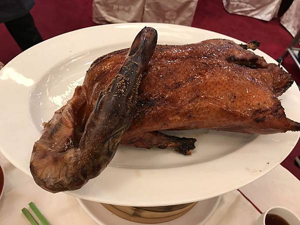 IMG_3439.JPG IMG_3439.JPG