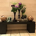 IMG_4987.JPG