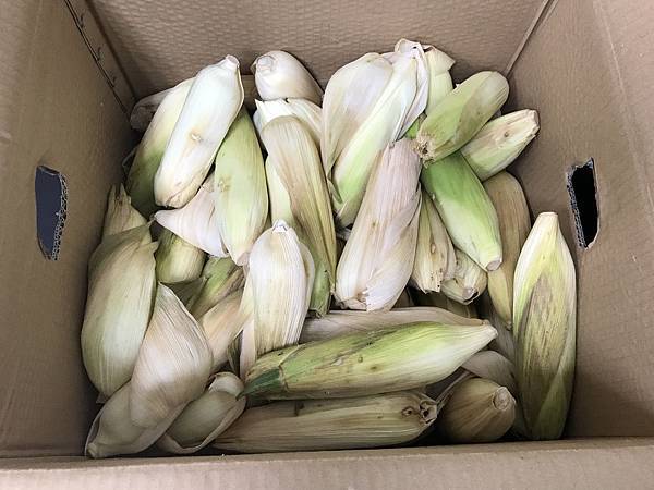 照片 001.jpg 照片 001.jpg