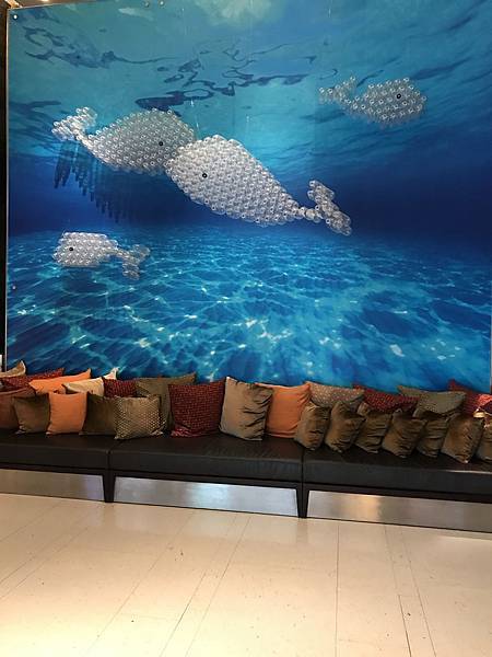 照片 055.jpg 照片 055.jpg