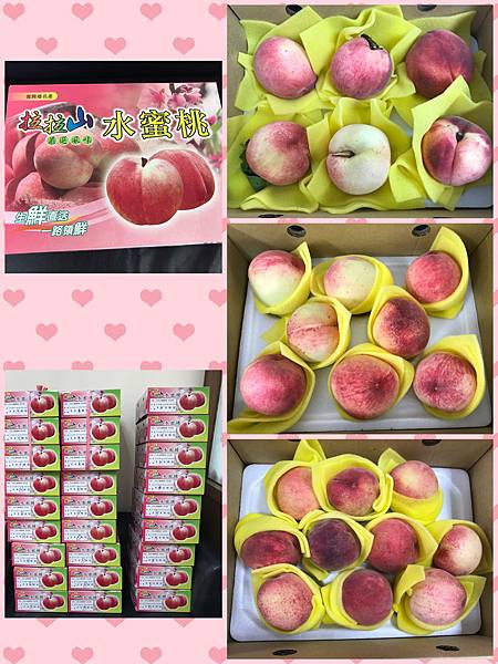 照片 001.jpg 照片 001.jpg