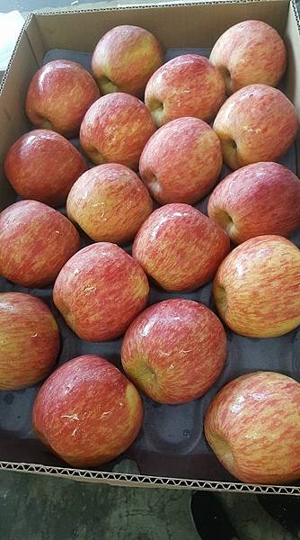 IMG_7820.JPG IMG_7820.JPG