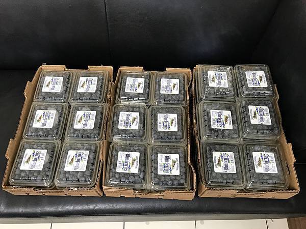 IMG_7814.JPG IMG_7814.JPG