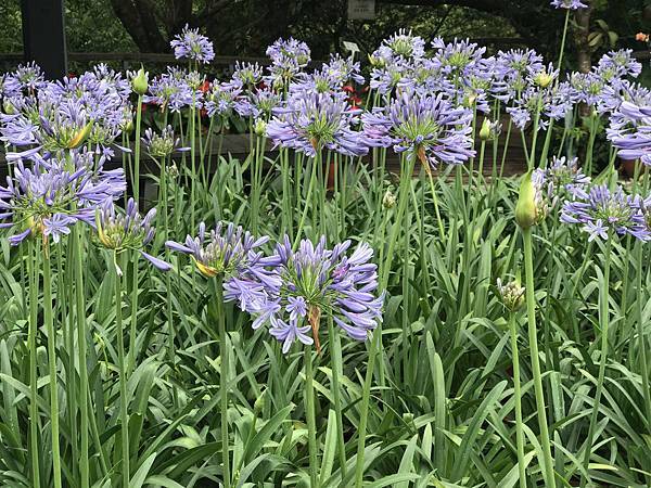 IMG_4946.JPG IMG_4946.JPG