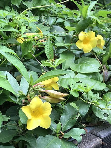 IMG_4947.JPG IMG_4947.JPG