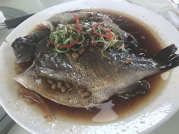 IMG_5278.JPG IMG_5278.JPG