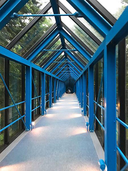 IMG_6057.JPG IMG_6057.JPG