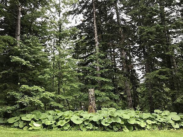 JgXpoo4NS9uIHM6RuesWXA.jpg JgXpoo4NS9uIHM6RuesWXA.jpg