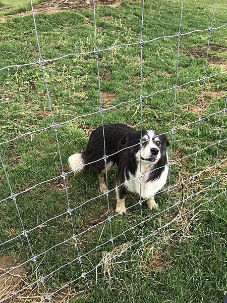 FxcdQSFrQ5SssYalrMUxMg.jpg FxcdQSFrQ5SssYalrMUxMg.jpg