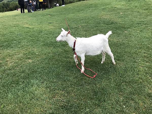 ImOg2hYGTcuAkS77aujdgg.jpg ImOg2hYGTcuAkS77aujdgg.jpg